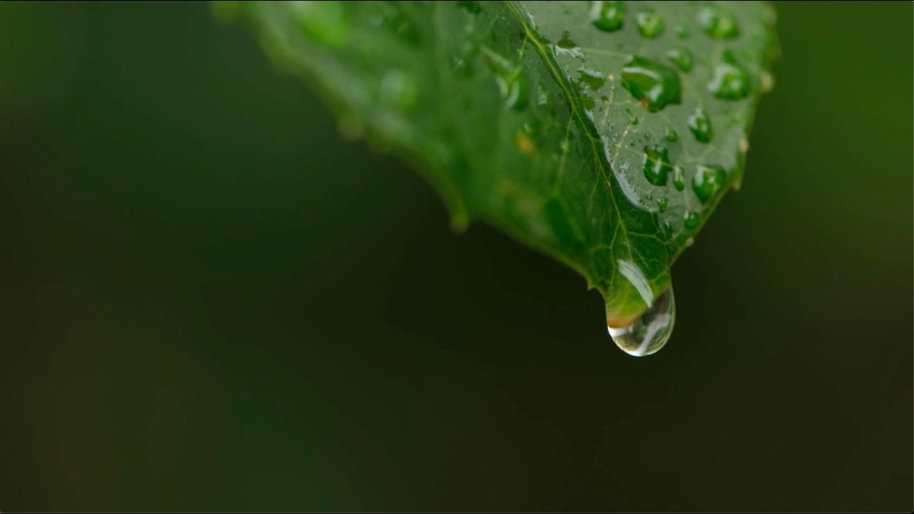 Agricoltura di montagna: l'emergenza acqua resta al centro