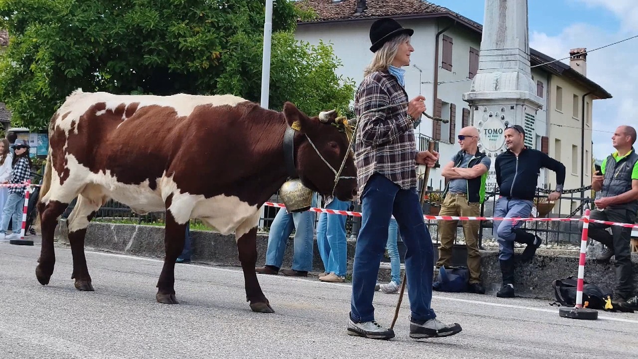Desmontegada dal Tomadego: il festoso rientro a valle delle mandrie