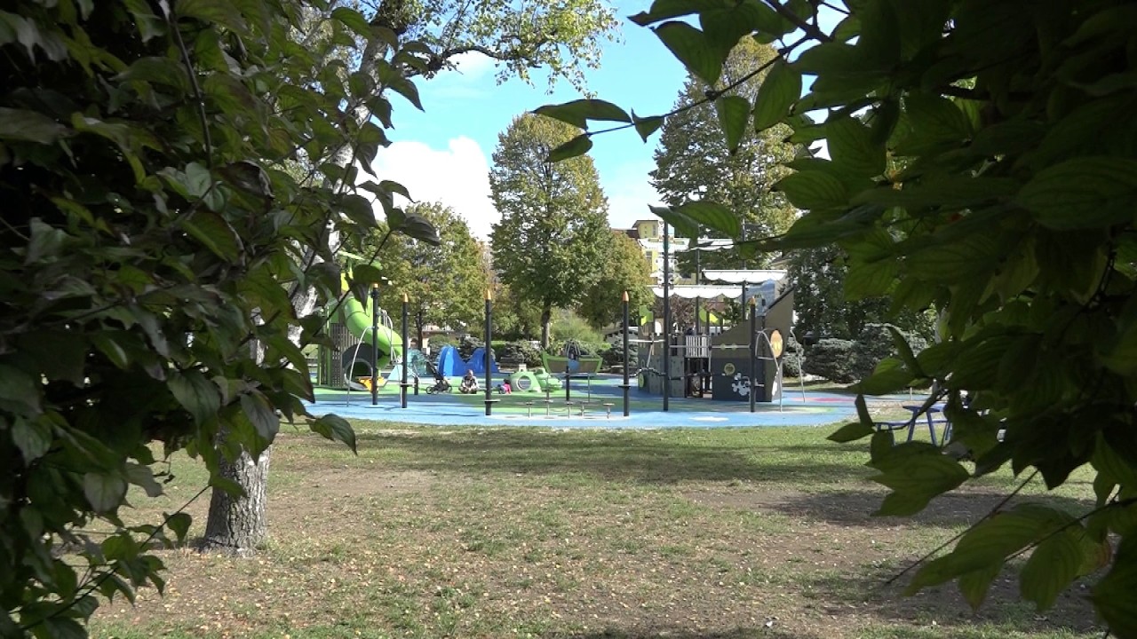 Il PD sul Parco Città di Bologna: "Deve restare verde pubblico"