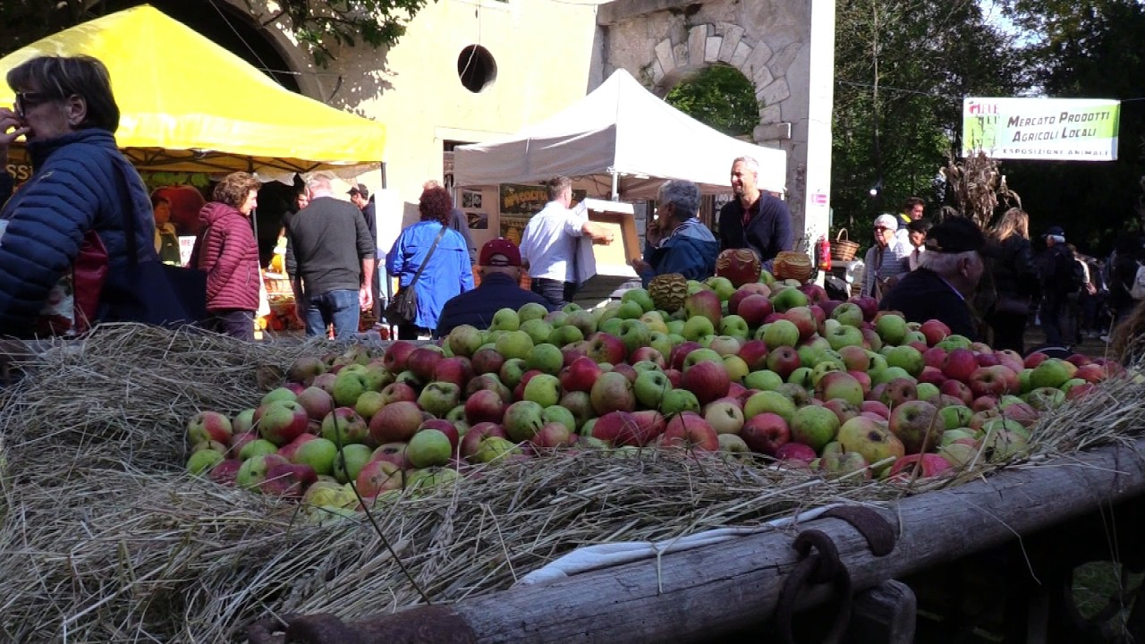 Mele a Mel celebra i profumi e i sapori della terra