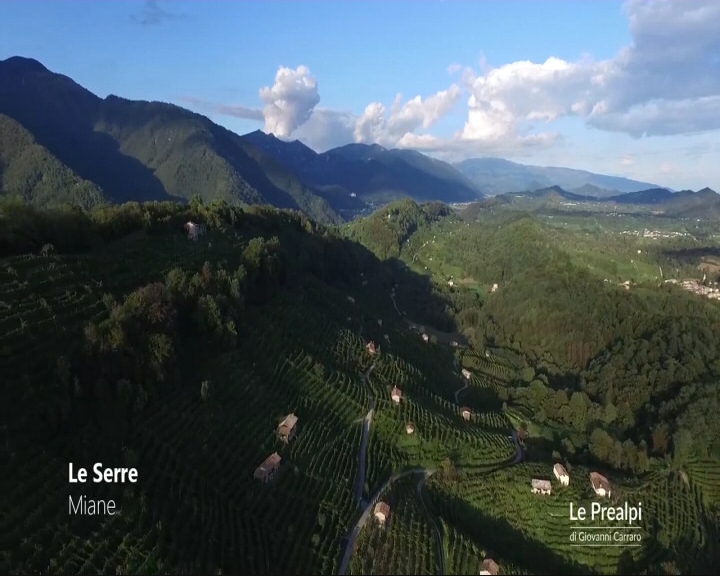 Le Colline del Prosecco candidate a patrimonio dell'Unesco? “Opportunità per noi”, dice Visalli