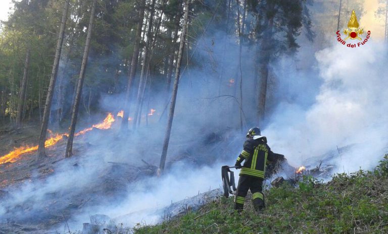Incendio a Lamon, 50 mila metri quadrati di sterpaglia in fumo