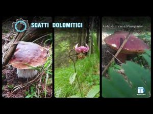 Ivana Pompanin – 01