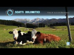 Luciano Bortoluzzi – 01