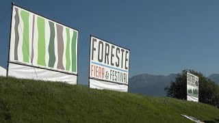 Quaderni dell’Alpago del 15 settembre 2021