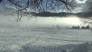 Quaderni dell’Alpago del 6 gennaio 2021