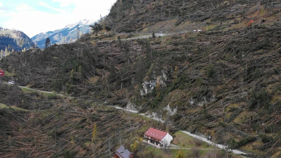 Tre anni fa l’arrivo di Vaia, l’indimenticabile incubo che scosse il Bellunese