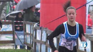 Corsa Campestre CSI: a Pedavena fango e gloria