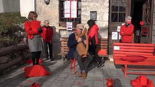 Giornata contro la violenza di genere: l’attività dello Spi Cgil