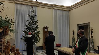 Un abete rosso di Lorenzago come albero di Natale della Segreteria di Stato Vaticana