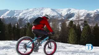 Il percorso della cultura verso le Olimpiadi: un protocollo per sei progetti