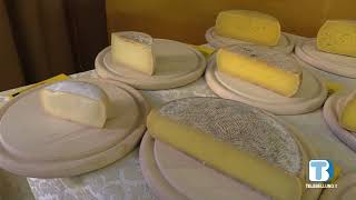 Le eccellenze del territorio al concorso dedicato ai formaggi
