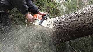 Cantieri forestali, ecco i corsi per il patentino