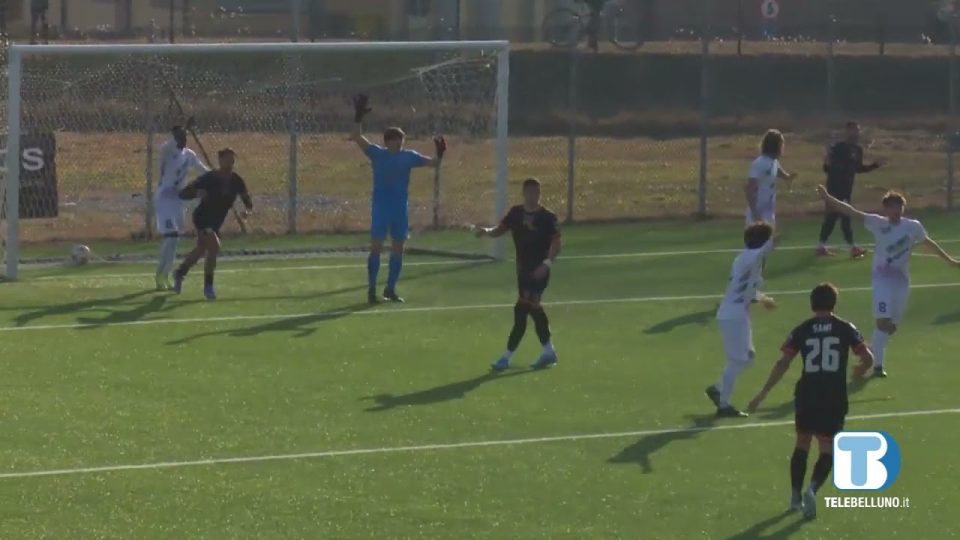Dolomiti Bellunesi: un pareggio contro il Cattolica