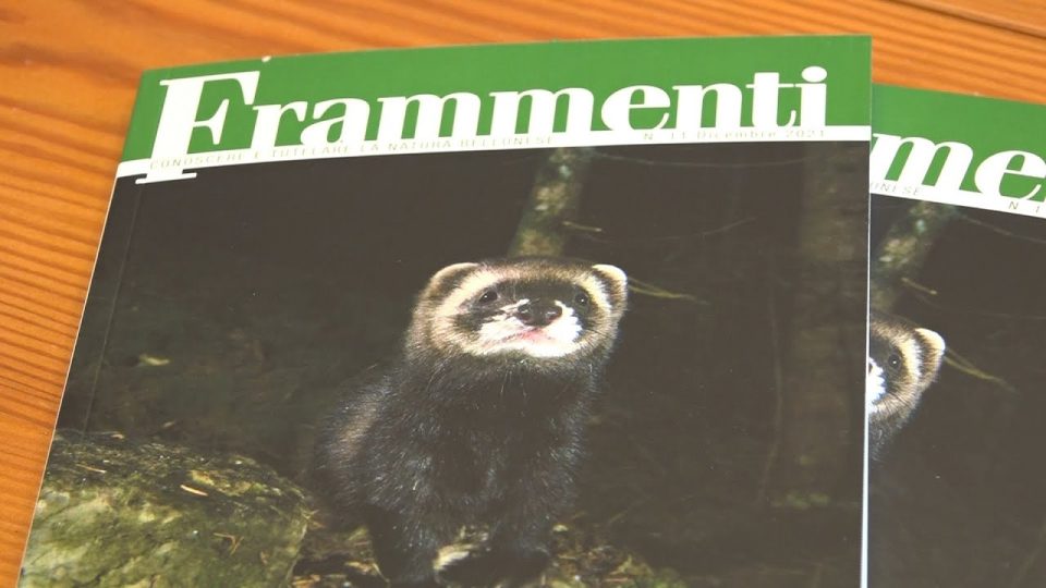 Presentato il nuovo numero della rivista “Frammenti”