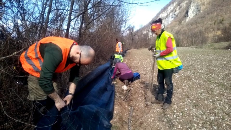 Volontari in campo per salvare gli anfibi dai pericoli della strada