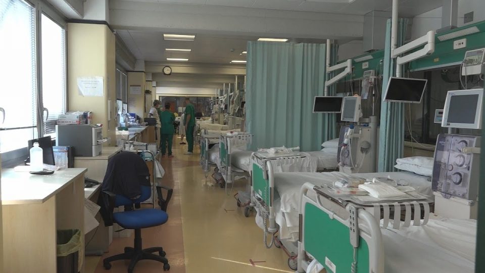 Giornata Mondiale del Rene, l’invito alla prevenzione e alla diagnosi precoce