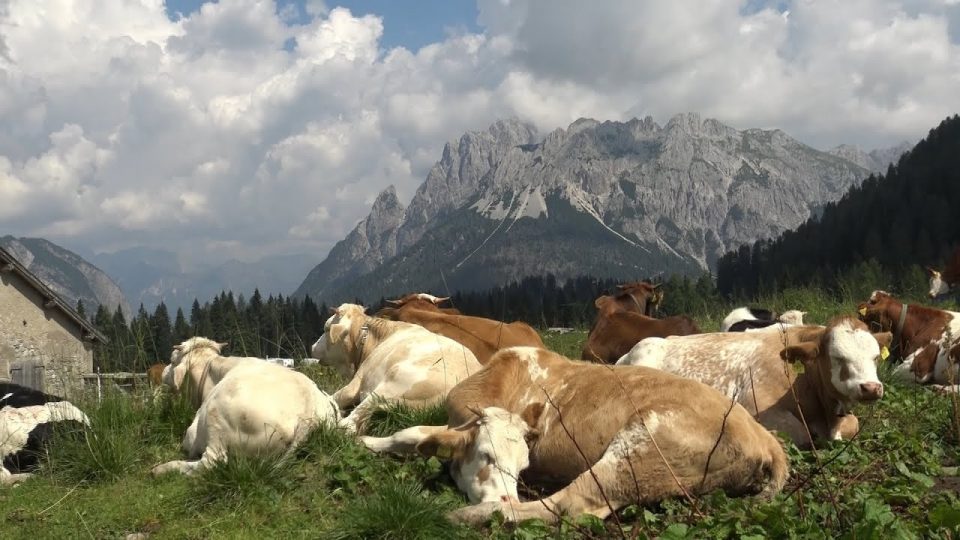 Festività in agriturismo, fra relax e prodotti tipici