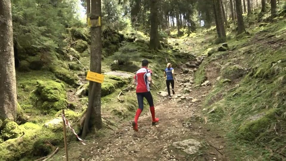 Tre giorni di orienteering in Cadore