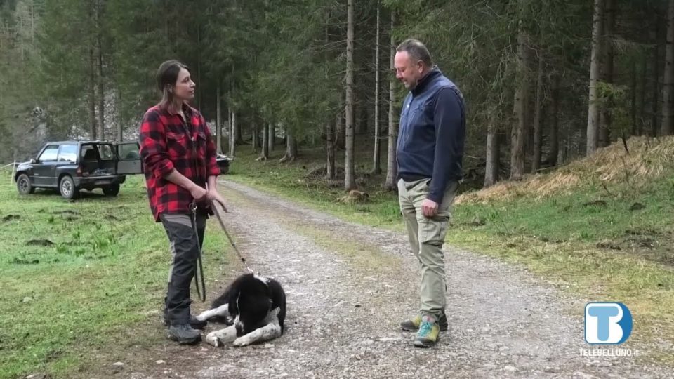 Voci di Valle: puntata di martedì 24 maggio 2022