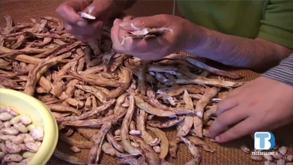 Il progetto “Orto a Scuola” con i bambini di Lamon