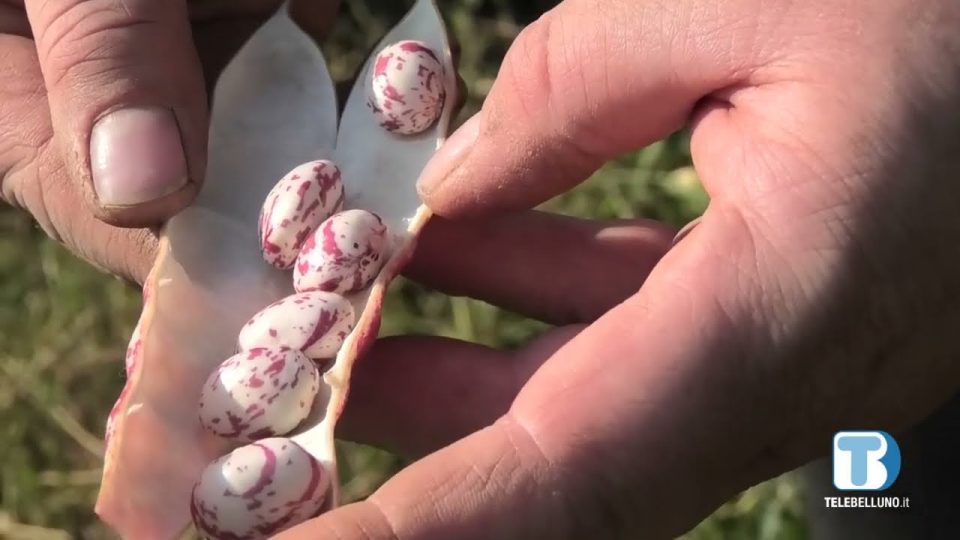 A Longarone un incontro sulle Green Communities