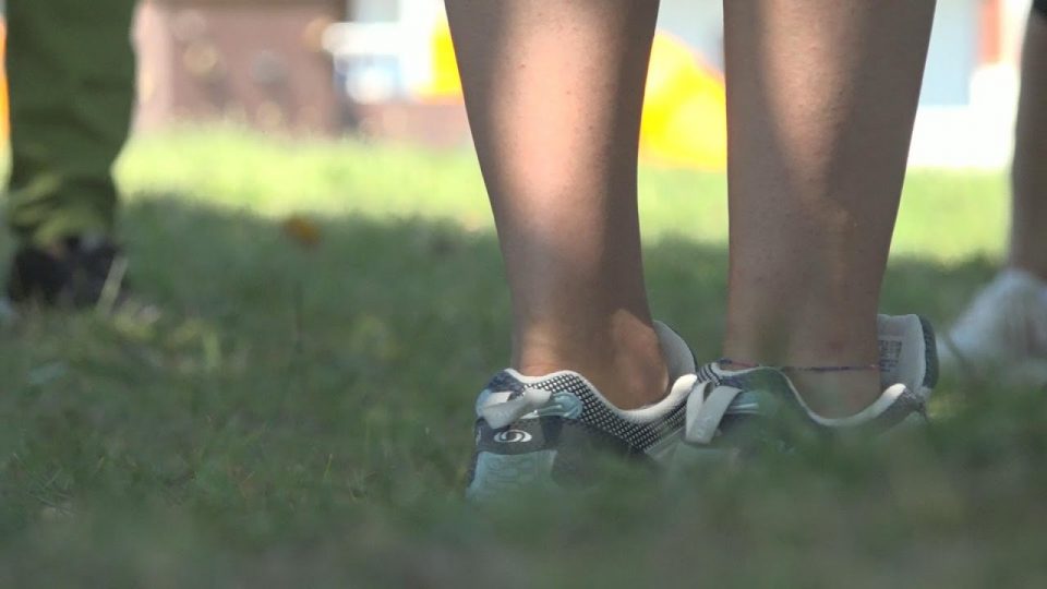 Sport e salute, a Borgo Valbelluna predisposti percorsi giornalieri di 1KM per mantenersi in salute