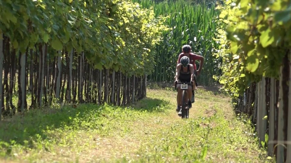 Un successo la prima edizione della Vignaronda