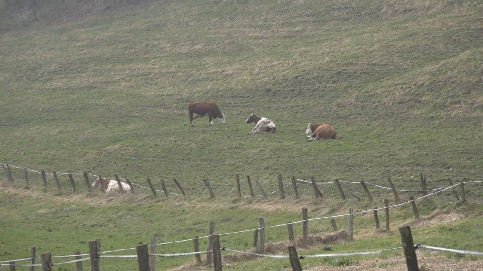 La siccità colpisce comuni, pascoli e alpeggi