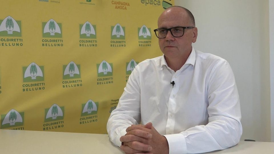 Rincari energetici: Coldiretti Belluno lancia l’allarme sul rischio chiusura delle aziende