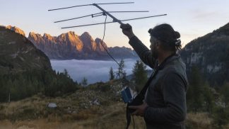 Una lupa con il radiocollare segnalerà gli spostamenti del branco nel Bellunese