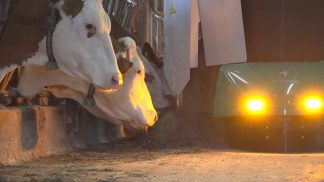 Agricoltori in difficoltà per i rincari energetici: “Dura andare avanti così”