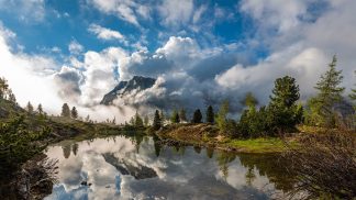 Diretta ELEZIONI 2022