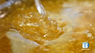 Limana si prepara alla 13esima festa dell’Apicoltura