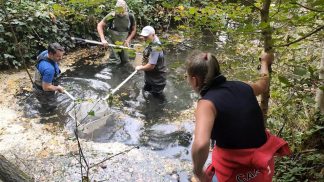 Al Rio Musil di Feltre la salvaguardia della fauna ittica