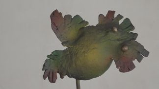 Al Seminario Gregoriano di Belluno fino al 23 ottobre l’incanto delle Melusine