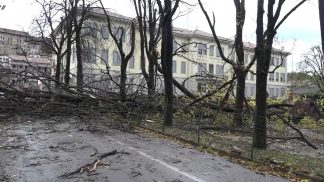 Quarto anniversario di Vaia, il presidente Zaia: «Orgoglio per la resilienza e per quanto fatto»