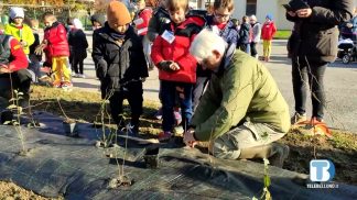 Ecologia ed educazione: a Feltre la manifestazione “Fratello Albero”
