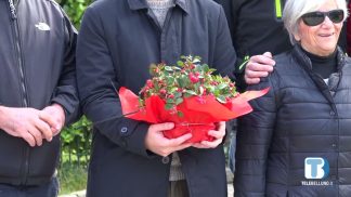 Giornata contro la violenza sulle donne: le iniziative bellunesi