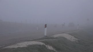 Provincia e Veneto Strade insieme per realizzare i corridoi faunistici