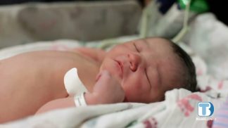 Ulss Dolomiti: le attività dei reparti di Ginecologia e Nefrologia nel 2022