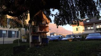 Il Natale a Cavarzano: l’accensione dell’albero e i presepi in cassetta