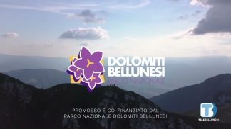 Il Parco Dolomiti Bellunesi si prepara a celebrare il trentennale
