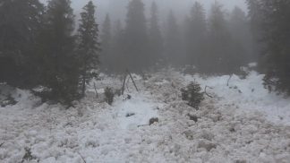 Due valanghe sulle Dolomiti Bellunesi