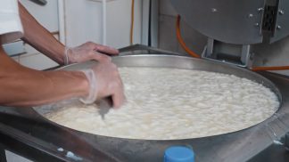 Provincia e Istituto Agrario insieme per la formazione di giovani casari