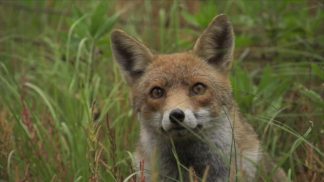 Una ventina di osservazioni per la revisione del regolamento del Parco