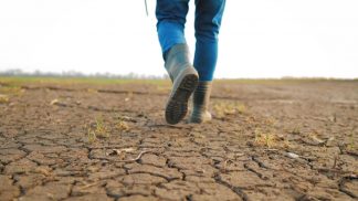 Crisi idrica, agricoltura in sofferenza