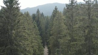 L’emendamento De Carlo apre al Registro pubblico dei crediti di carbonio