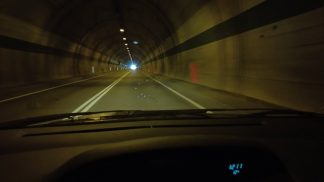 Lupo investito a Soverzene, è il secondo in poche settimane