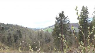 Tre tester per la gara di corsa in montagna di Valmorel per l’assegnazione dei titoli italiani